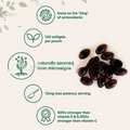 Astaxanthin 120 Capsules — The World's Most Powerful Antioxidant for Recovery & Anti-Aging