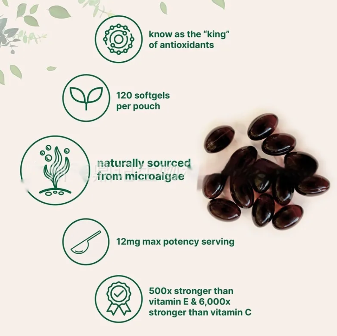 Astaxanthin 120 Capsules — The World's Most Powerful Antioxidant for Recovery & Anti-Aging