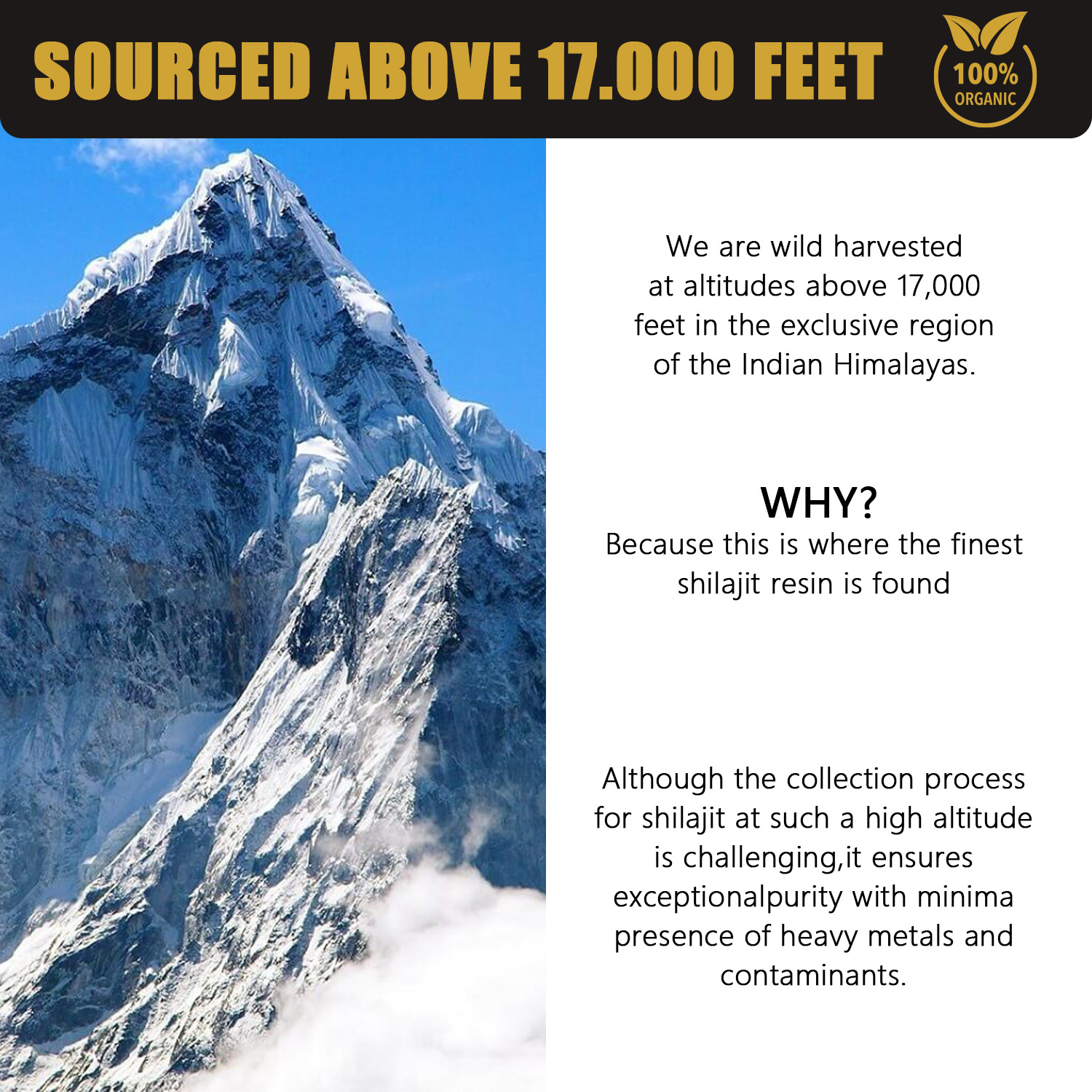 Pure Shilajit Resin 30g — Unprocessed Himalayan Performance Extract
