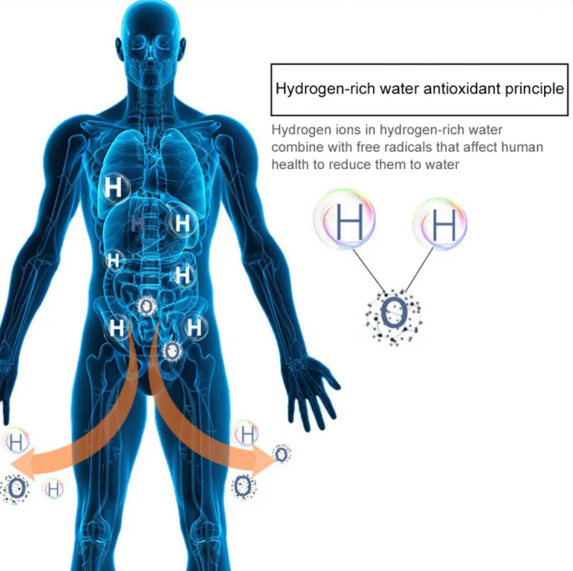 Hydrogen Water Cup — Cellular Hydration Technology