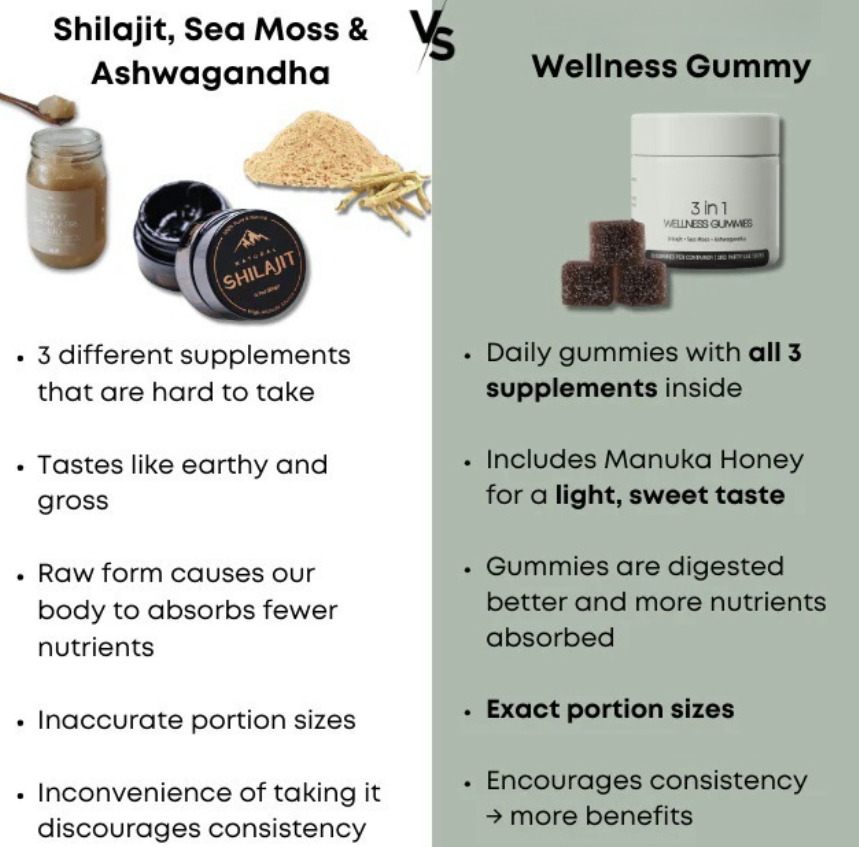 Shilajit 3-in-1 Performance Gummies — Ancient Formula, Modern Edge